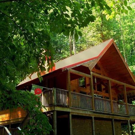 Alpine Joy-Hot Tub, Pond Access ,1089 Of Free Tickets For Each Paid Day, Dollywood And More! Townsend Eksteriør billede