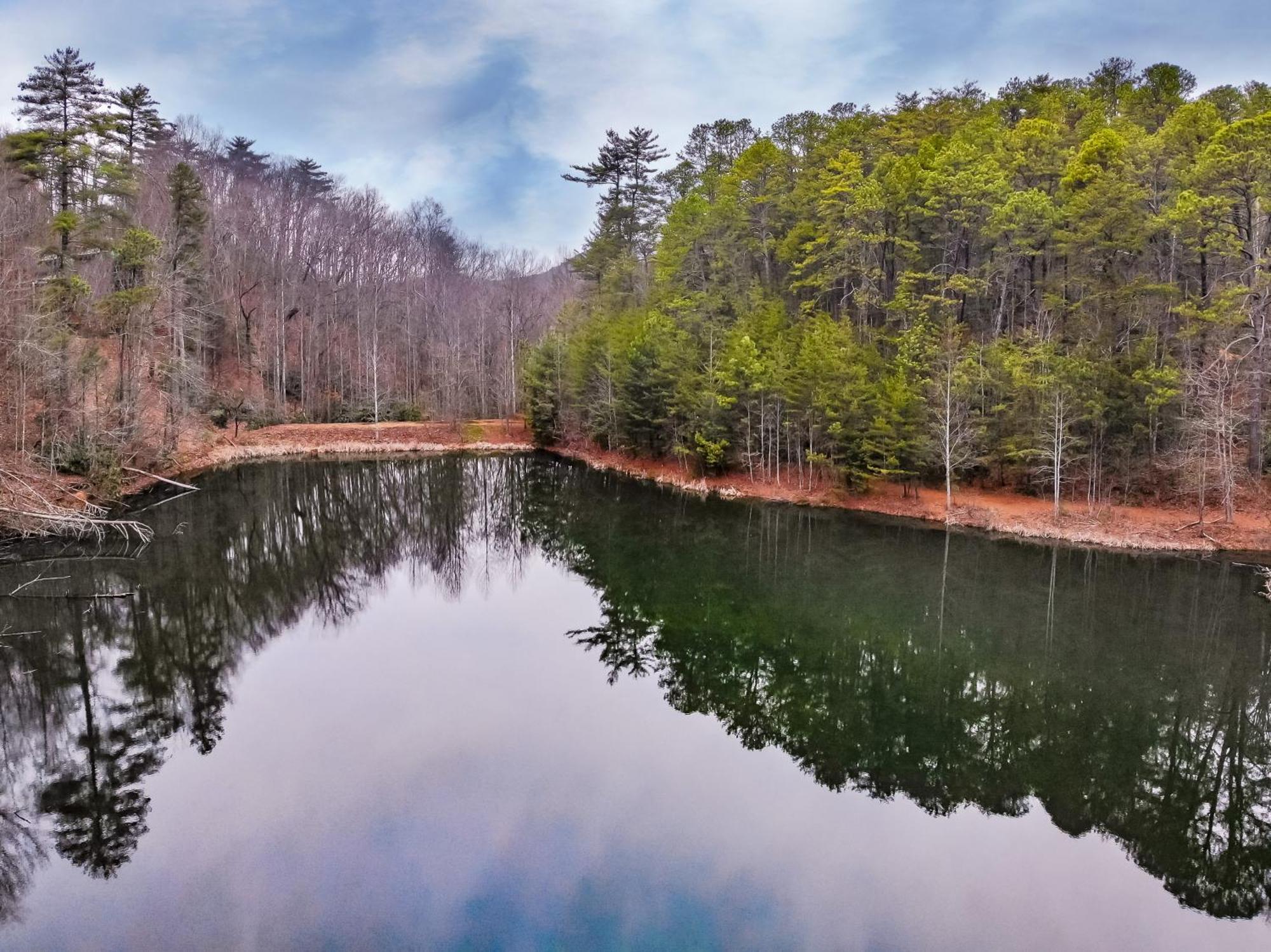 Alpine Joy-Hot Tub, Pond Access ,1089 Of Free Tickets For Each Paid Day, Dollywood And More! Townsend Værelse billede