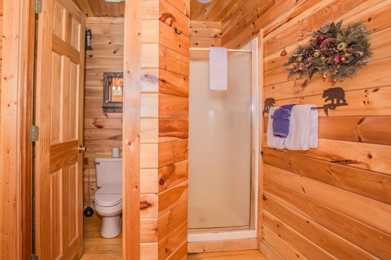 Alpine Joy-Hot Tub, Pond Access ,1089 Of Free Tickets For Each Paid Day, Dollywood And More! Townsend Eksteriør billede