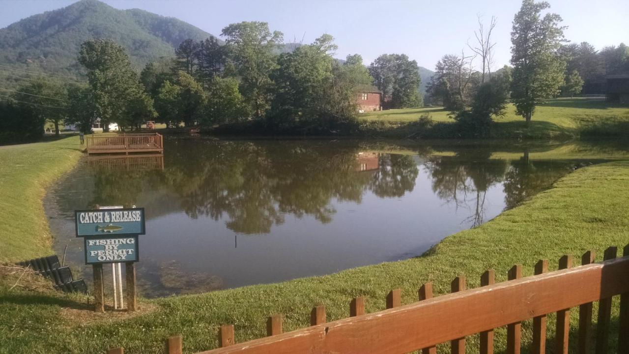 Alpine Joy-Hot Tub, Pond Access ,1089 Of Free Tickets For Each Paid Day, Dollywood And More! Townsend Eksteriør billede